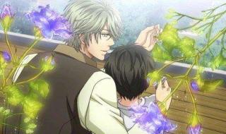 superlover superlover