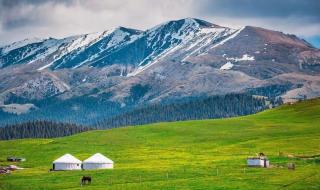 新疆防疫政策最新 新疆防疫政策最新