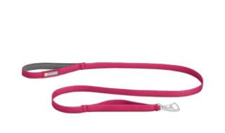 小型宠物有哪些 小型宠物有哪些