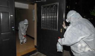 31省区市新增108例