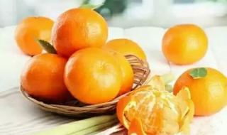 阳春白雪下里巴人 阳春白雪下里巴人