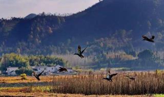 安微川藏线旅游攻略 安微川藏线旅游攻略