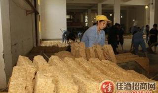 被茅台人称为沙的是 被茅台人称为沙的是