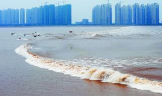 钱塘江观潮地点 钱塘江观潮地点