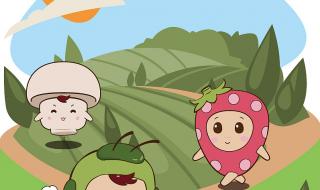 厦门平面设计 厦门平面设计