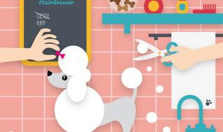 想学宠物美容 想学宠物美容