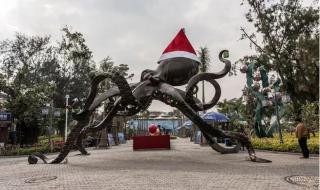 厦门菽庄花园 厦门菽庄花园