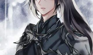 洛冰河把沈九做烂了 洛冰河把沈九做烂了