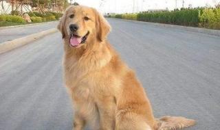 厂家回应罐头里有石头 厂家回应罐头里有石头